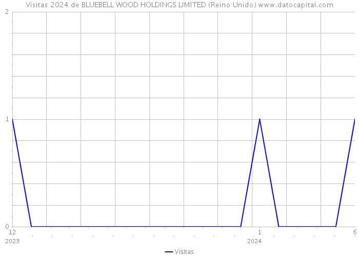 Visitas 2024 de BLUEBELL WOOD HOLDINGS LIMITED (Reino Unido) 