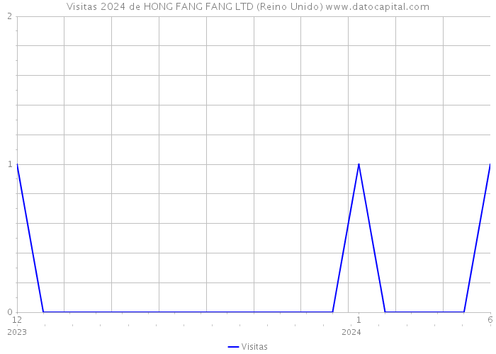 Visitas 2024 de HONG FANG FANG LTD (Reino Unido) 