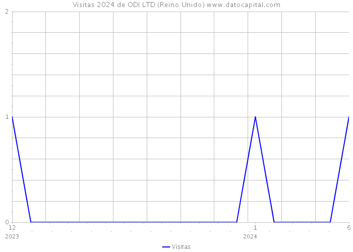 Visitas 2024 de ODI LTD (Reino Unido) 