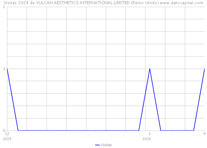 Visitas 2024 de VULCAN AESTHETICS INTERNATIONAL LIMITED (Reino Unido) 