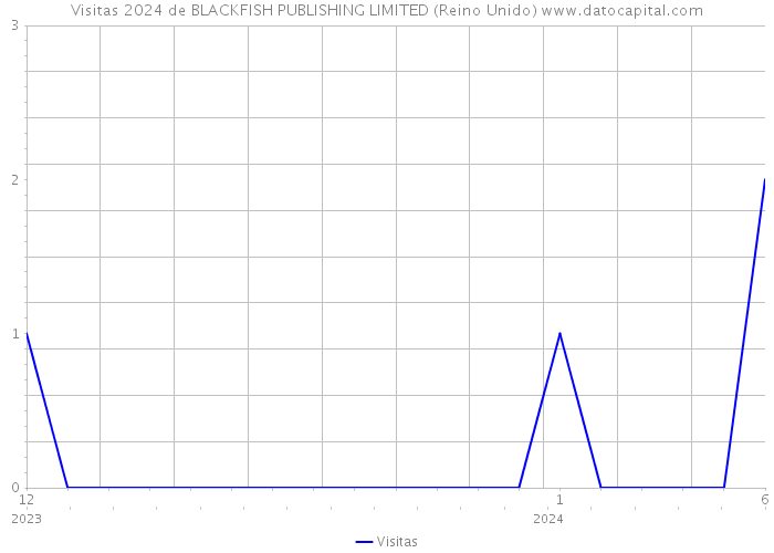 Visitas 2024 de BLACKFISH PUBLISHING LIMITED (Reino Unido) 