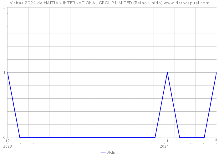 Visitas 2024 de HAITIAN INTERNATIONAL GROUP LIMITED (Reino Unido) 