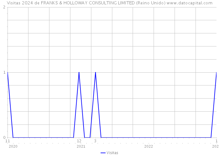 Visitas 2024 de FRANKS & HOLLOWAY CONSULTING LIMITED (Reino Unido) 