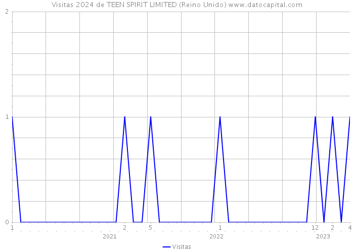 Visitas 2024 de TEEN SPIRIT LIMITED (Reino Unido) 