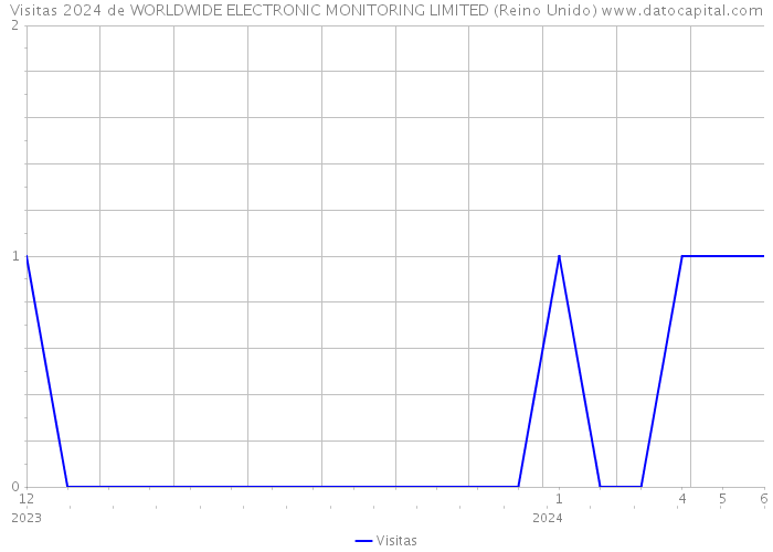 Visitas 2024 de WORLDWIDE ELECTRONIC MONITORING LIMITED (Reino Unido) 