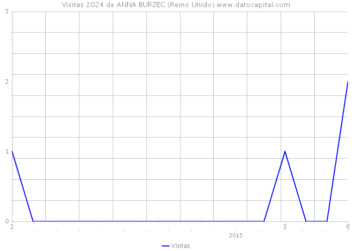 Visitas 2024 de ANNA BURZEC (Reino Unido) 