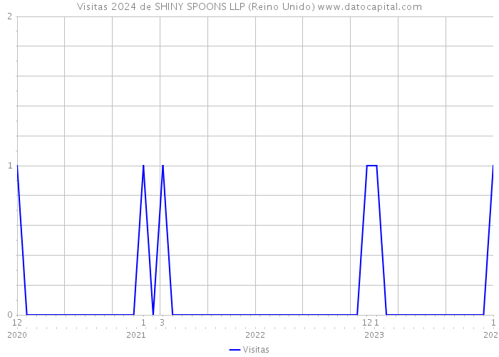 Visitas 2024 de SHINY SPOONS LLP (Reino Unido) 