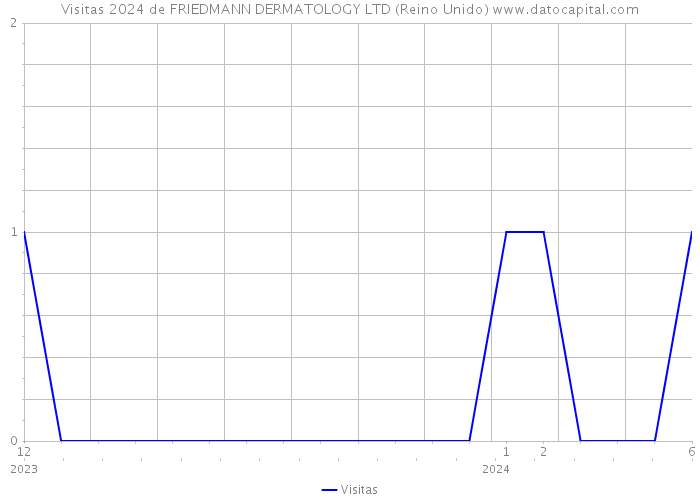 Visitas 2024 de FRIEDMANN DERMATOLOGY LTD (Reino Unido) 