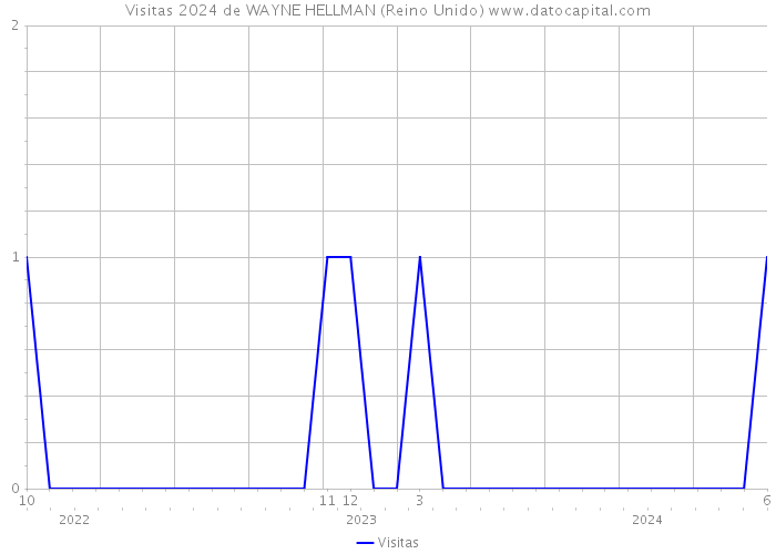 Visitas 2024 de WAYNE HELLMAN (Reino Unido) 