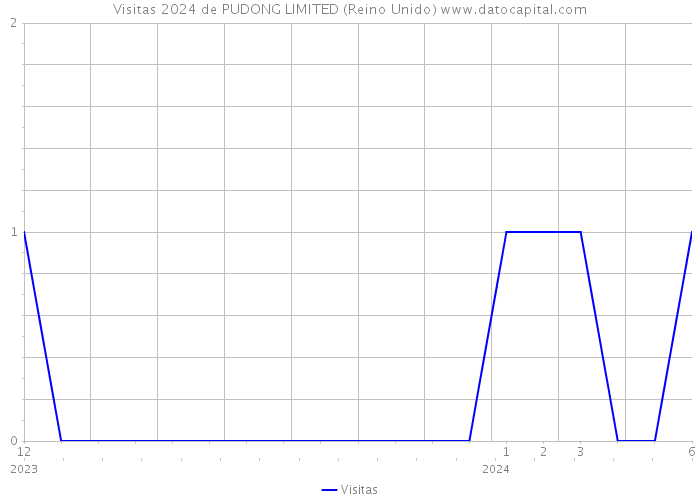 Visitas 2024 de PUDONG LIMITED (Reino Unido) 