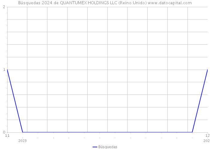 Búsquedas 2024 de QUANTUMEX HOLDINGS LLC (Reino Unido) 