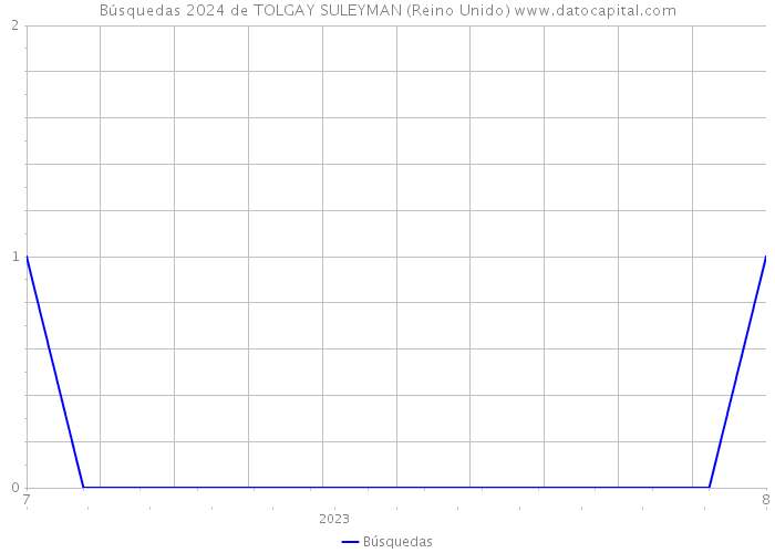 Búsquedas 2024 de TOLGAY SULEYMAN (Reino Unido) 