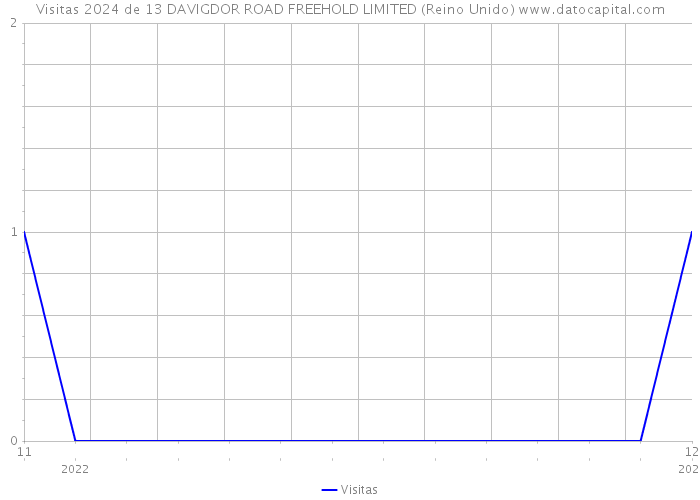 Visitas 2024 de 13 DAVIGDOR ROAD FREEHOLD LIMITED (Reino Unido) 