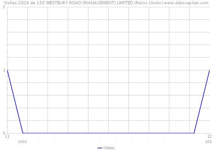 Visitas 2024 de 133 WESTBURY ROAD (MANAGEMENT) LIMITED (Reino Unido) 