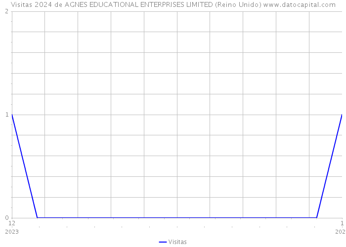 Visitas 2024 de AGNES EDUCATIONAL ENTERPRISES LIMITED (Reino Unido) 