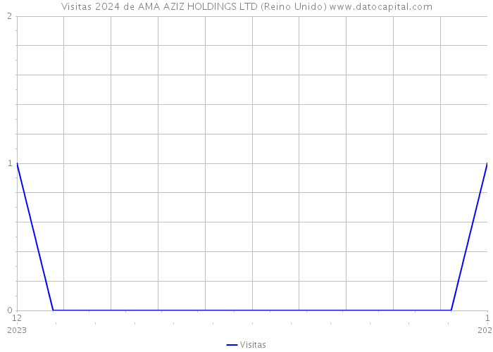 Visitas 2024 de AMA AZIZ HOLDINGS LTD (Reino Unido) 