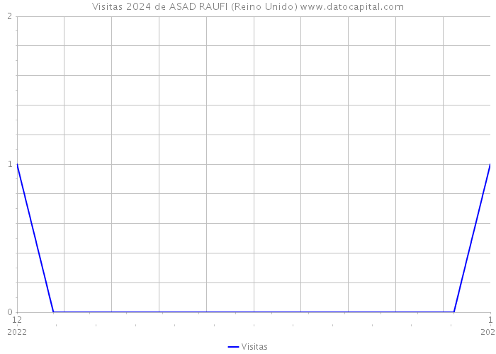 Visitas 2024 de ASAD RAUFI (Reino Unido) 