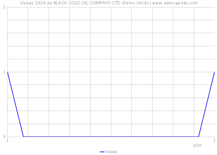 Visitas 2024 de BLACK GOLD OIL COMPANY LTD (Reino Unido) 