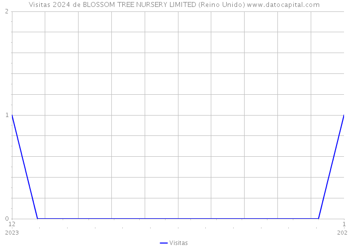 Visitas 2024 de BLOSSOM TREE NURSERY LIMITED (Reino Unido) 