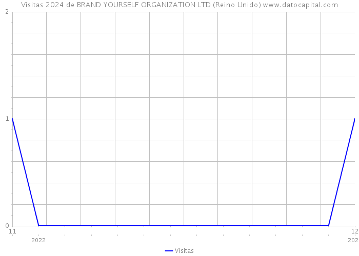 Visitas 2024 de BRAND YOURSELF ORGANIZATION LTD (Reino Unido) 