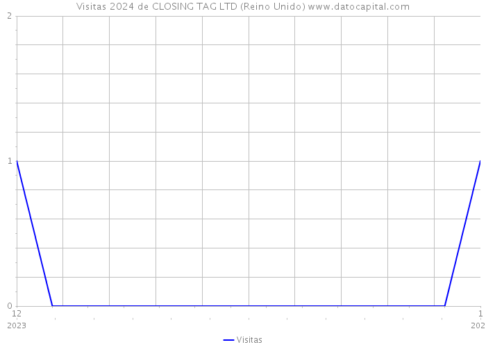 Visitas 2024 de CLOSING TAG LTD (Reino Unido) 