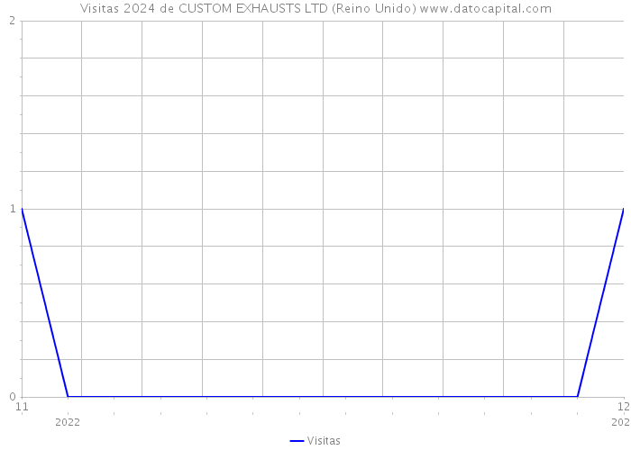 Visitas 2024 de CUSTOM EXHAUSTS LTD (Reino Unido) 