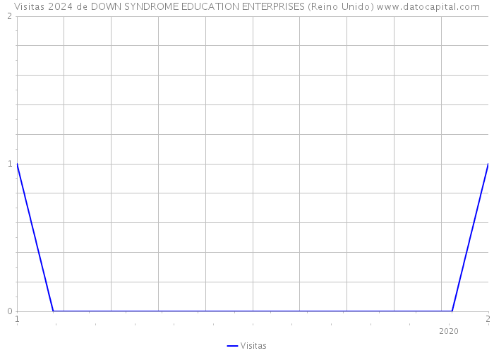 Visitas 2024 de DOWN SYNDROME EDUCATION ENTERPRISES (Reino Unido) 