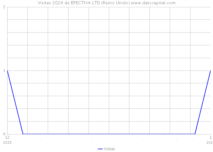 Visitas 2024 de EFECTIVA LTD (Reino Unido) 