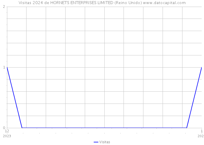 Visitas 2024 de HORNETS ENTERPRISES LIMITED (Reino Unido) 