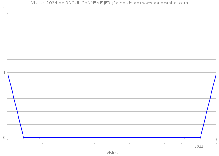 Visitas 2024 de RAOUL CANNEMEIJER (Reino Unido) 