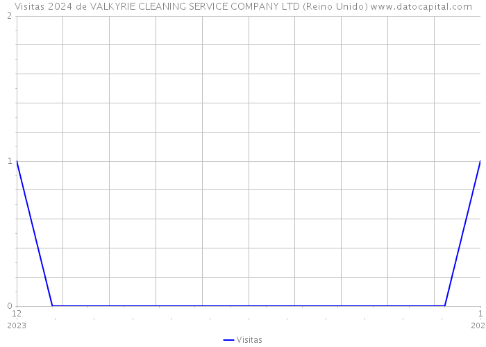 Visitas 2024 de VALKYRIE CLEANING SERVICE COMPANY LTD (Reino Unido) 