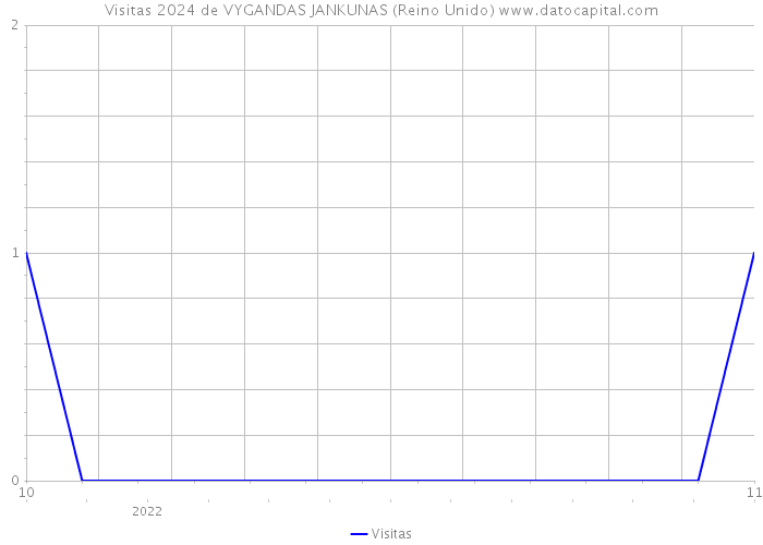 Visitas 2024 de VYGANDAS JANKUNAS (Reino Unido) 