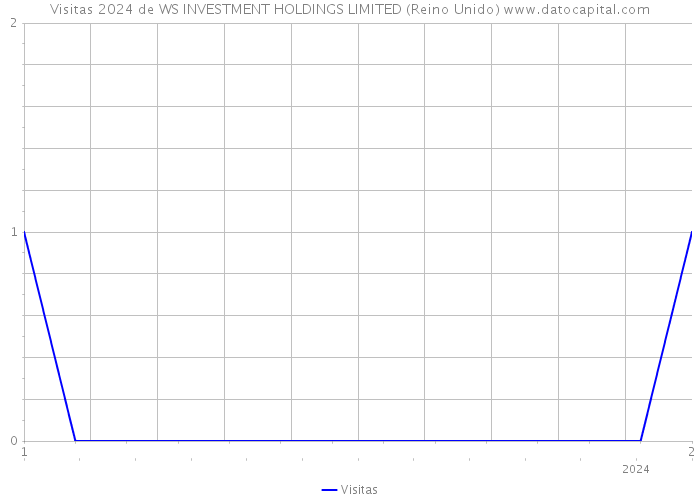 Visitas 2024 de WS INVESTMENT HOLDINGS LIMITED (Reino Unido) 