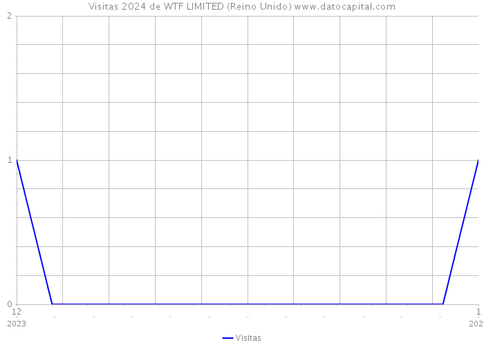 Visitas 2024 de WTF LIMITED (Reino Unido) 