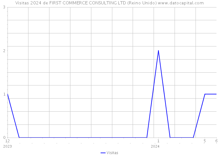 Visitas 2024 de FIRST COMMERCE CONSULTING LTD (Reino Unido) 