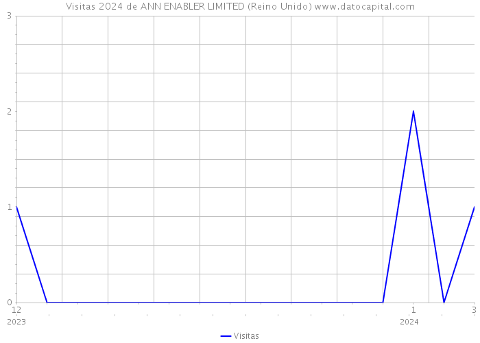 Visitas 2024 de ANN ENABLER LIMITED (Reino Unido) 