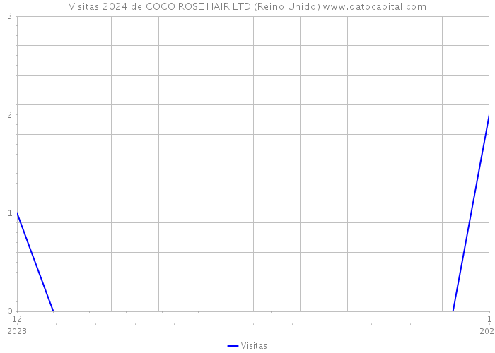 Visitas 2024 de COCO ROSE HAIR LTD (Reino Unido) 