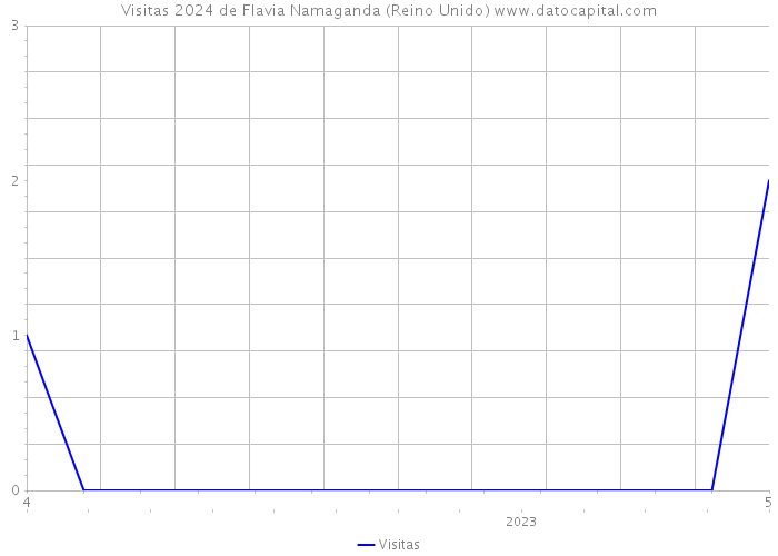 Visitas 2024 de Flavia Namaganda (Reino Unido) 