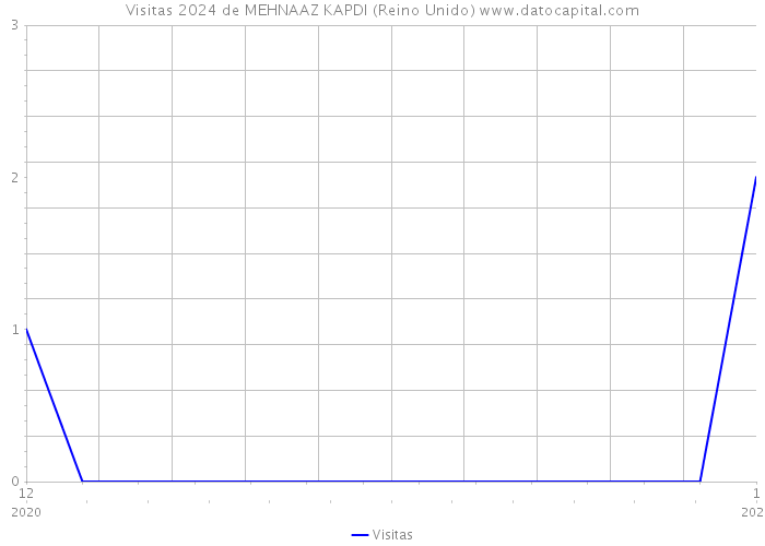 Visitas 2024 de MEHNAAZ KAPDI (Reino Unido) 