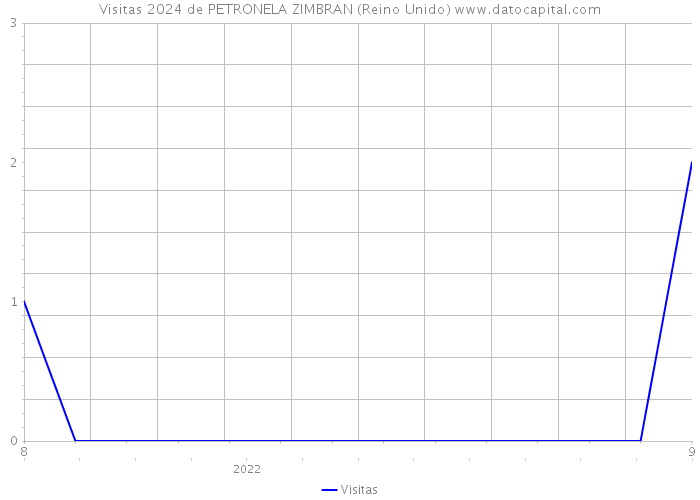 Visitas 2024 de PETRONELA ZIMBRAN (Reino Unido) 