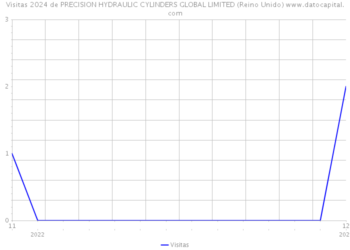 Visitas 2024 de PRECISION HYDRAULIC CYLINDERS GLOBAL LIMITED (Reino Unido) 