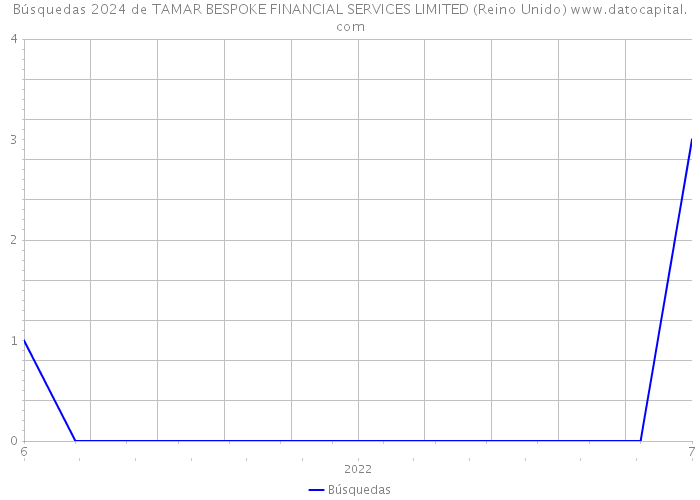 Búsquedas 2024 de TAMAR BESPOKE FINANCIAL SERVICES LIMITED (Reino Unido) 