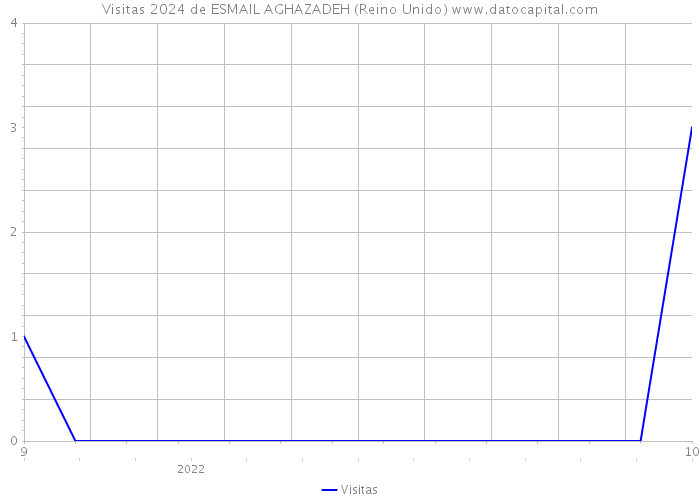 Visitas 2024 de ESMAIL AGHAZADEH (Reino Unido) 