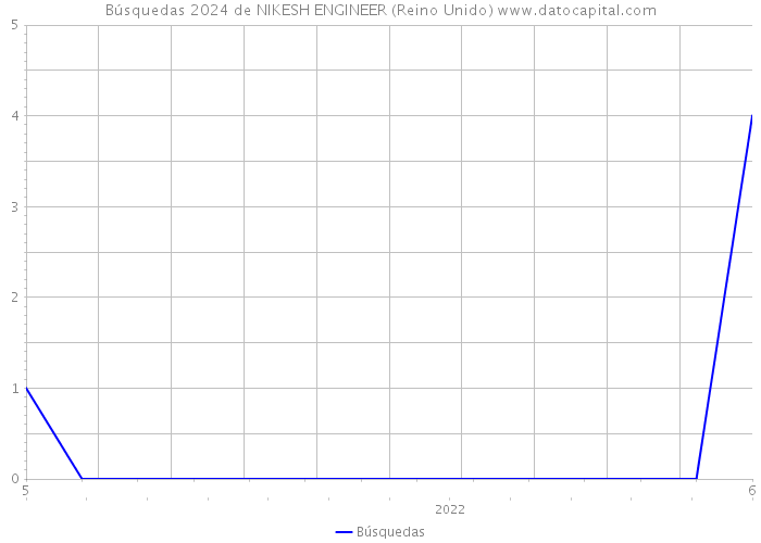 Búsquedas 2024 de NIKESH ENGINEER (Reino Unido) 