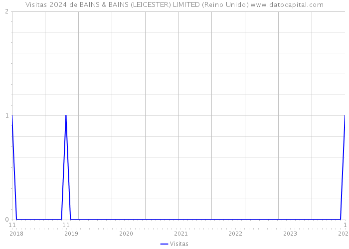 Visitas 2024 de BAINS & BAINS (LEICESTER) LIMITED (Reino Unido) 