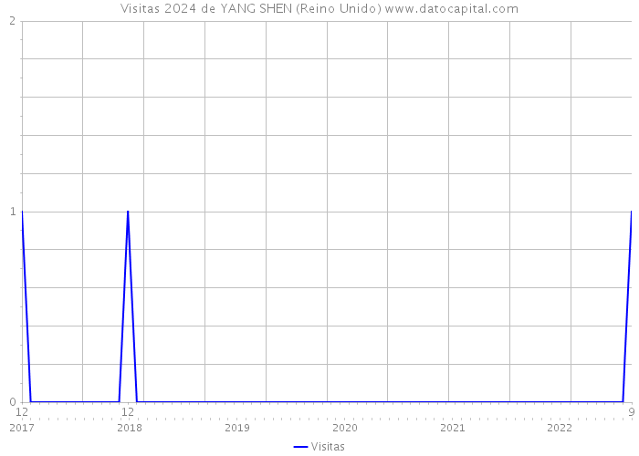 Visitas 2024 de YANG SHEN (Reino Unido) 