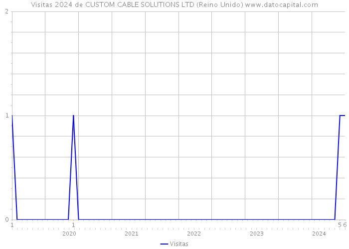 Visitas 2024 de CUSTOM CABLE SOLUTIONS LTD (Reino Unido) 