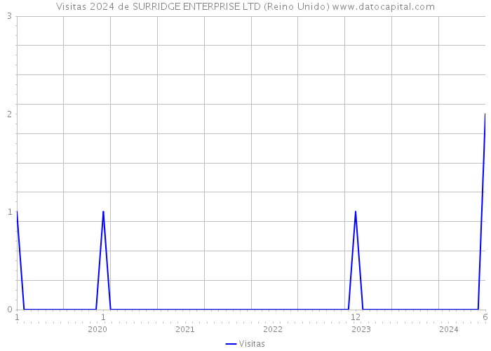 Visitas 2024 de SURRIDGE ENTERPRISE LTD (Reino Unido) 