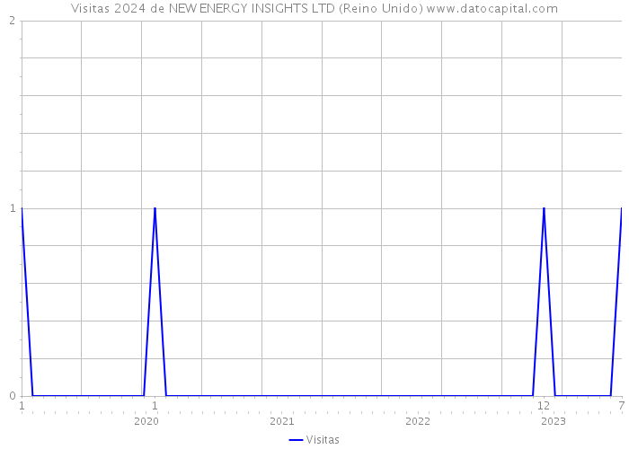 Visitas 2024 de NEW ENERGY INSIGHTS LTD (Reino Unido) 