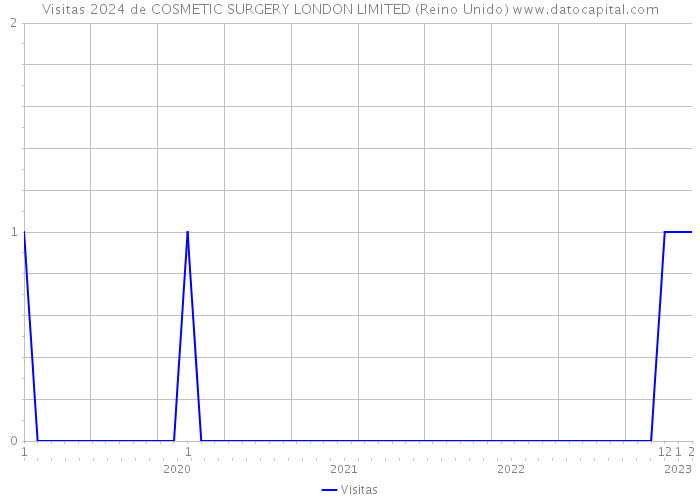 Visitas 2024 de COSMETIC SURGERY LONDON LIMITED (Reino Unido) 